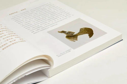 一本書讀懂中國瓷器3000年 輝煌歷程與文化意蘊